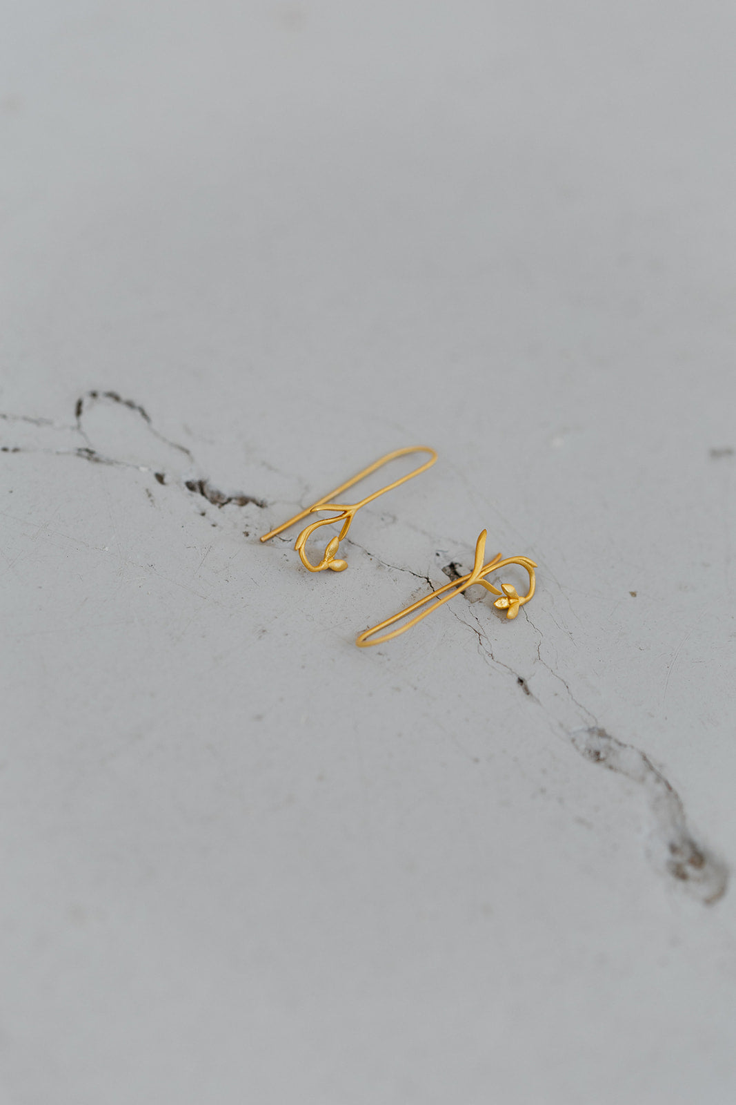Anillos Mini Pisum