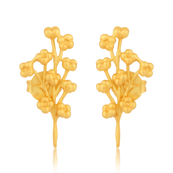 Brincos Algodão Cata Vassalo