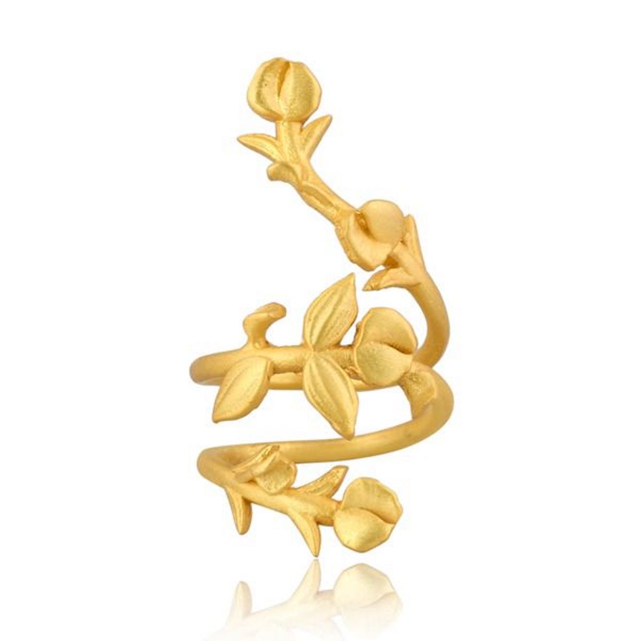 Anillo Lathyrus