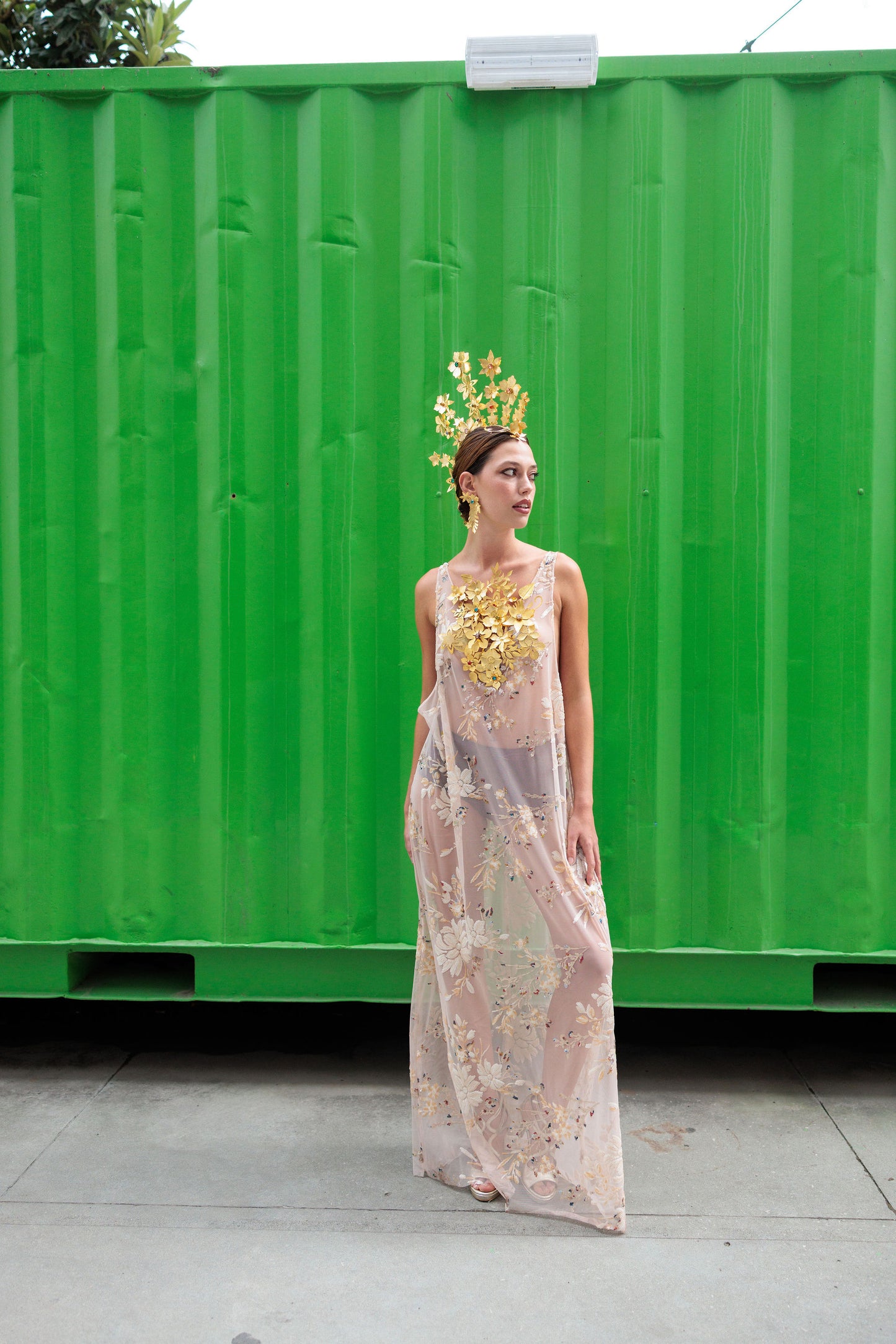 Vestido Reina Lathyrus