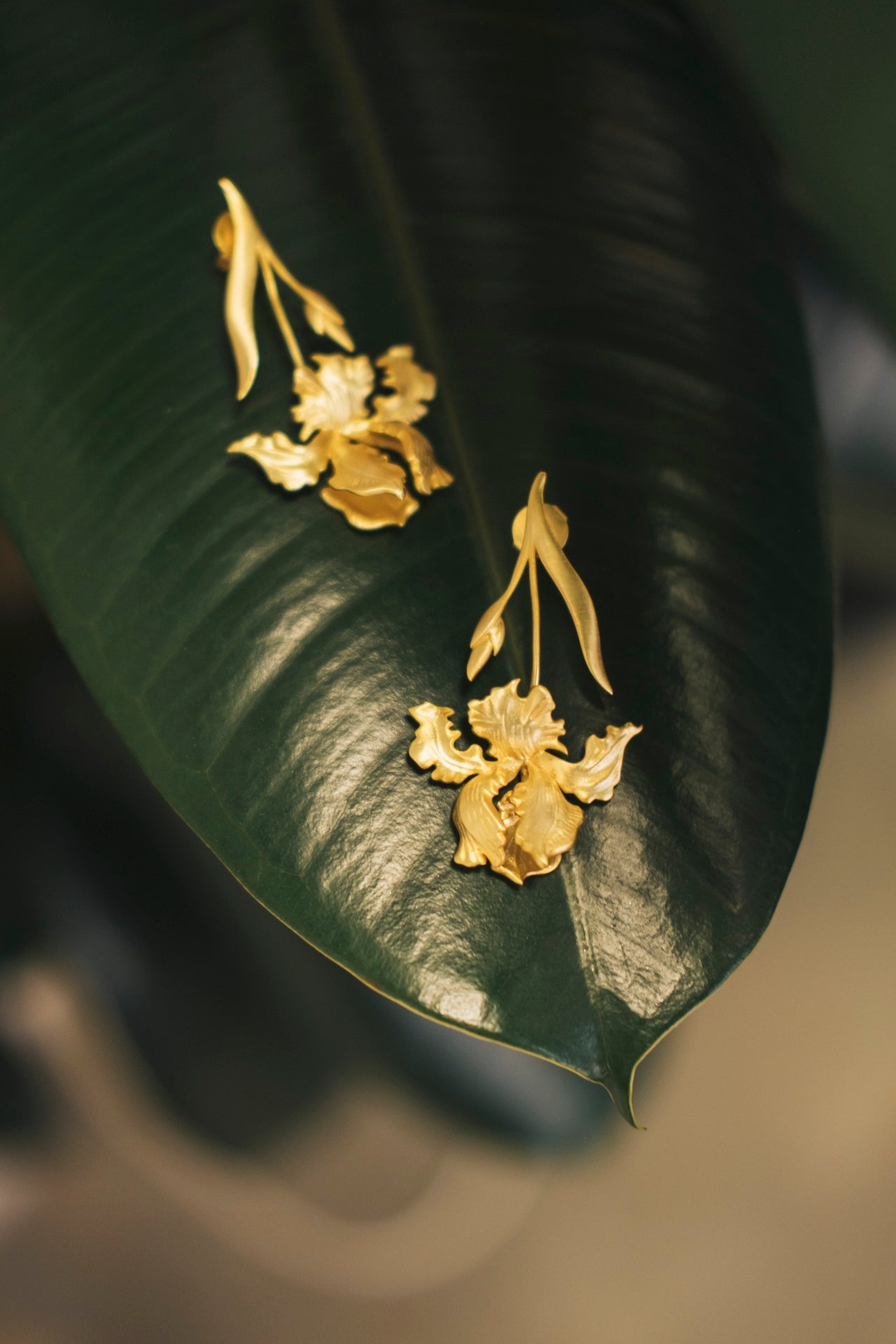 Brincos Lumen