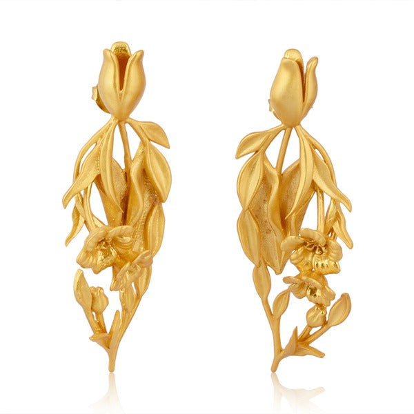 Anillos Mini Pisum